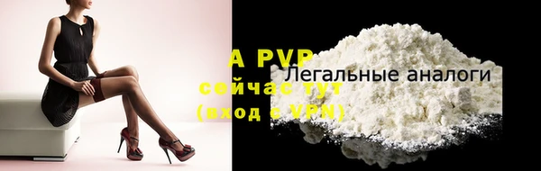 стафф Сосновый Бор