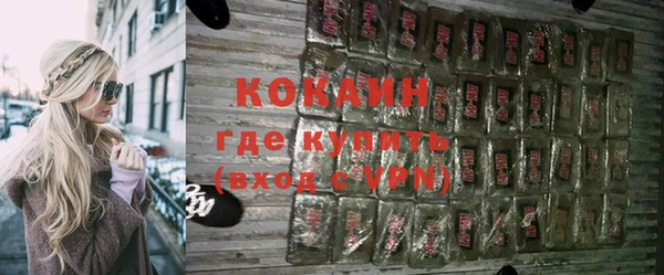 стафф Сосновый Бор