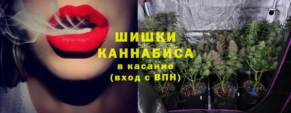 индика Бородино