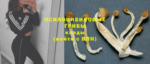 бутик Богданович
